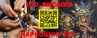 молекула духа Гагарин