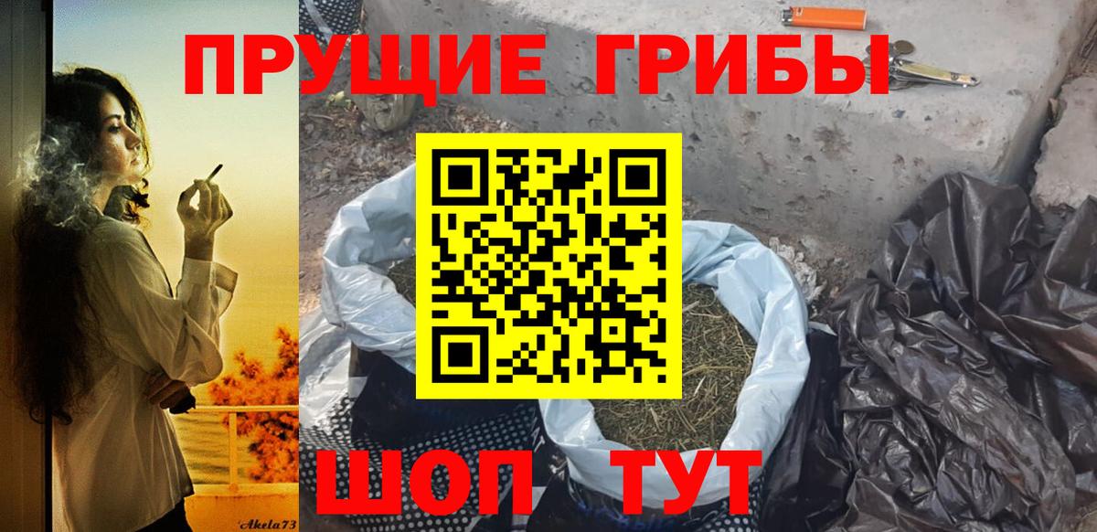 Галлюциногенные грибы Cubensis Можга